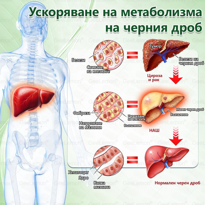 Коледна промоция🎄𝐆𝐞𝑒𝑙𝑒𝐦𝐨𝐧® Glum𝐚𝐬𝐞tide 8 в 1 – Нано микроиглен пластир за отслабване|Само 1× дневно ✅ Видими промени за 7 дни – при затлъстяване, сърдечно-съдово здраве, диабет и ставни проблеми