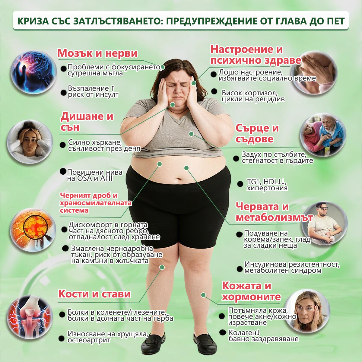 Промоционална оферта🌿𝐆𝐞𝑒𝑙𝑒𝐦𝐨𝐧® Glum𝐚𝐬𝐞tide 8 в 1 – Нано микроиглен пластир за отслабване|Само 1× дневно ✅ Видими промени за 7 дни – при затлъстяване, сърдечно-съдово здраве, диабет и ставни проблеми